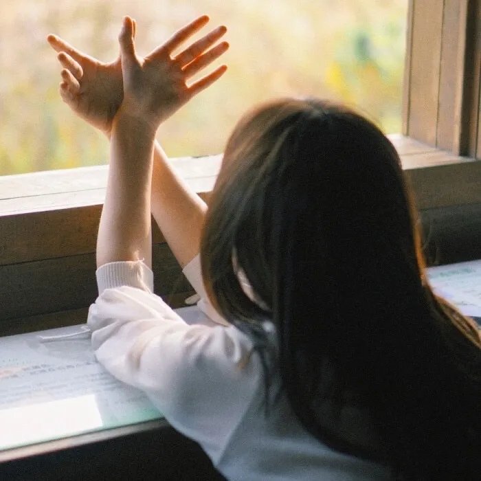 绿叶对根的情意